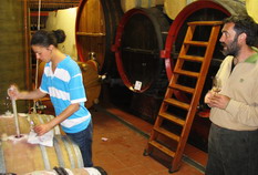 cascina tavijn Winery